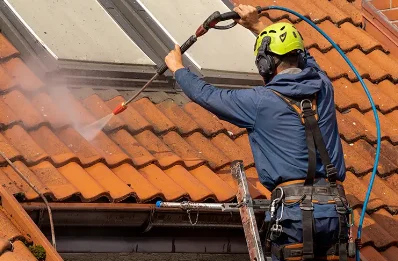 Démoussage et hydrofuge de toiture à Bidarray